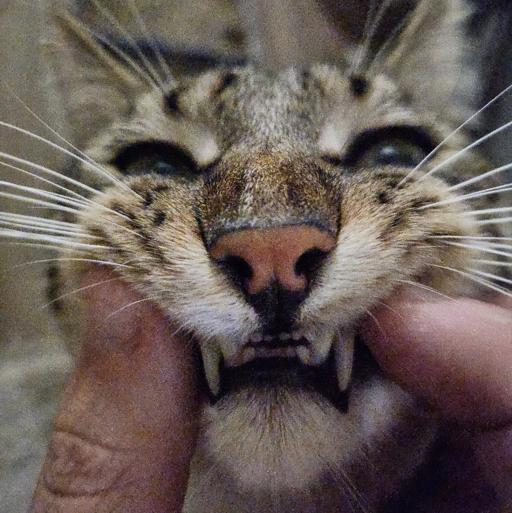 Meet your Posher, Ke